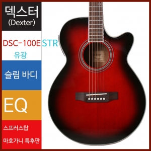 덱스터 통기타 DSC-100E STR EQDexter