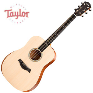 테일러 Academy 10 (TRLA10)Taylor